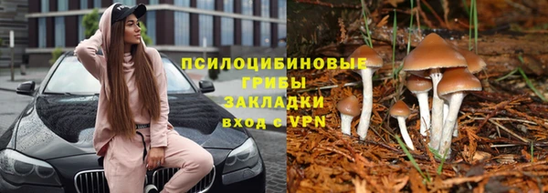 jwh Богданович